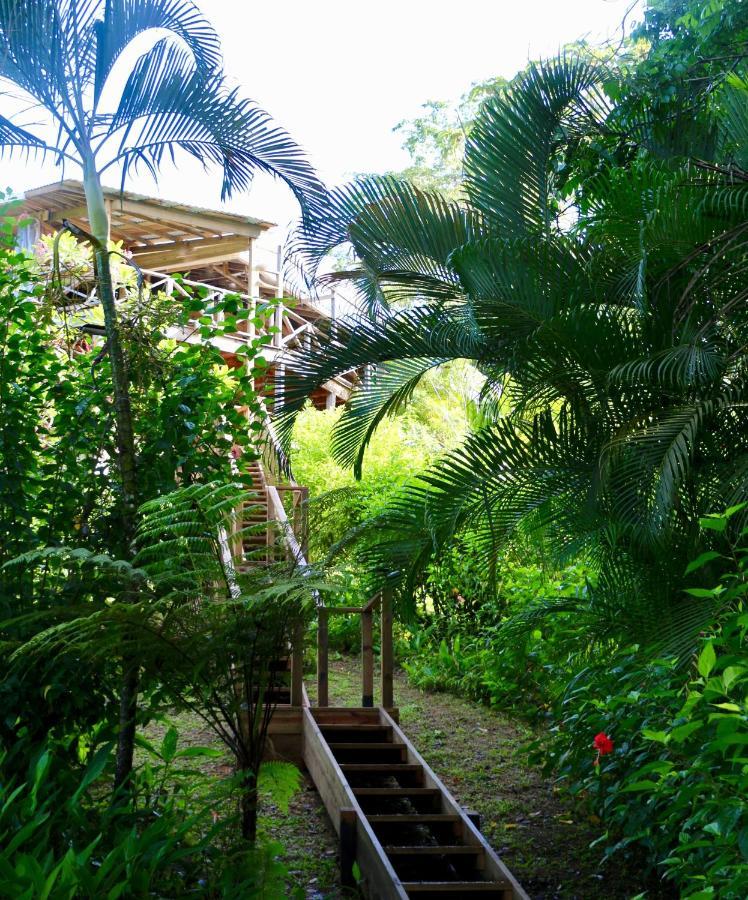 Eden Jungle Lodge Bocas Town Kültér fotó