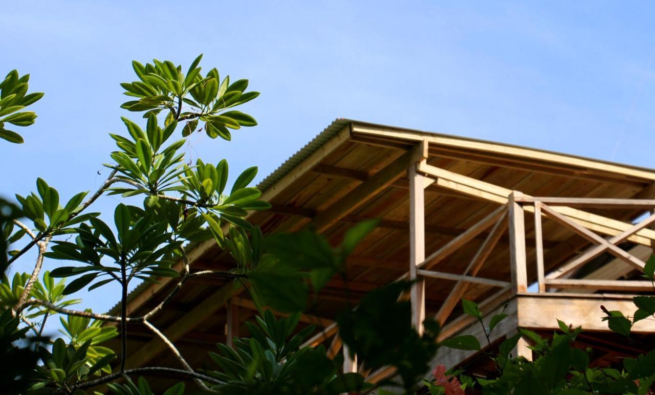 Eden Jungle Lodge Bocas Town Kültér fotó