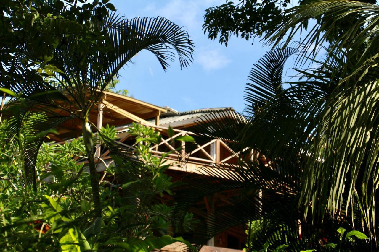 Eden Jungle Lodge Bocas Town Kültér fotó