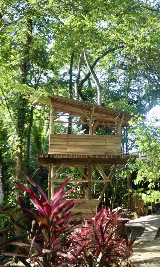 Eden Jungle Lodge Bocas Town Kültér fotó
