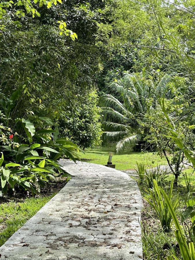 Eden Jungle Lodge Bocas Town Kültér fotó