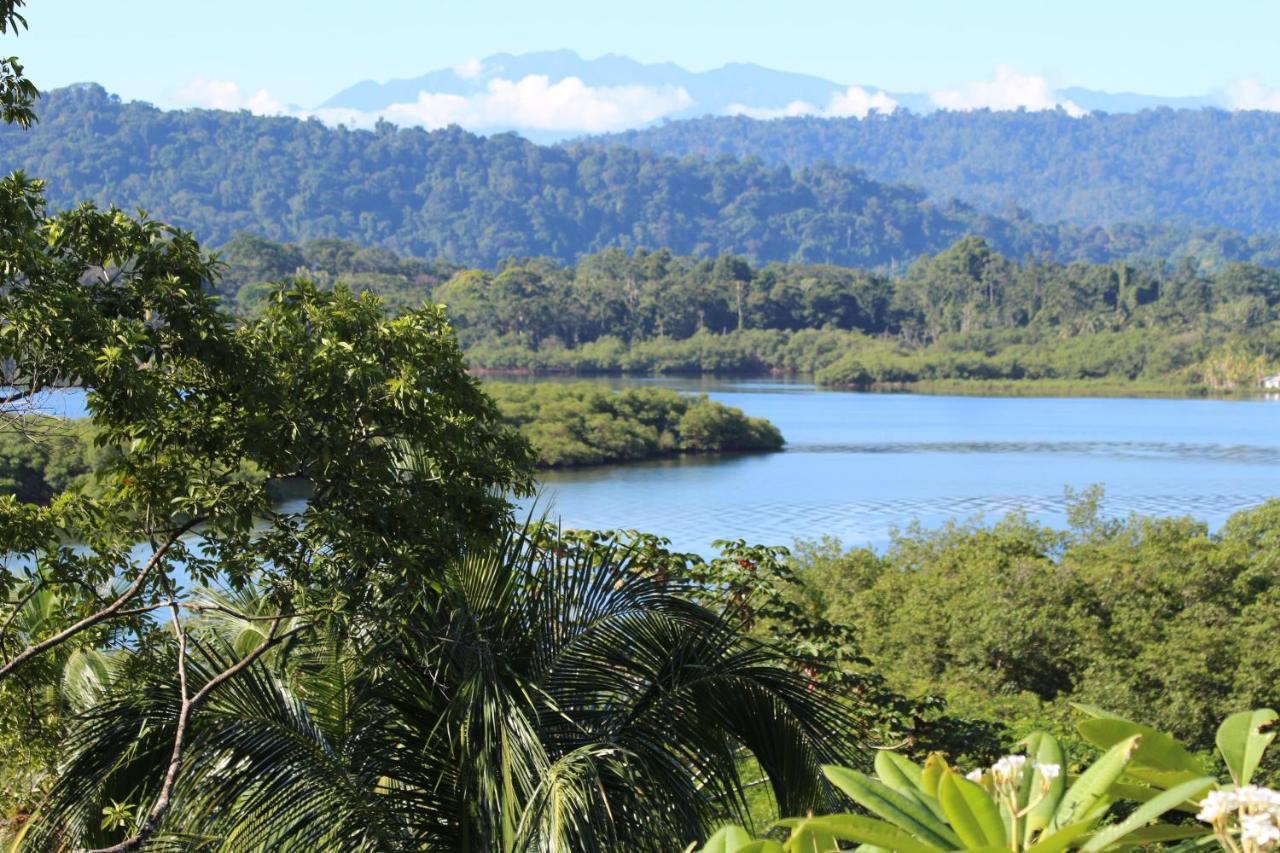 Eden Jungle Lodge Bocas Town Kültér fotó