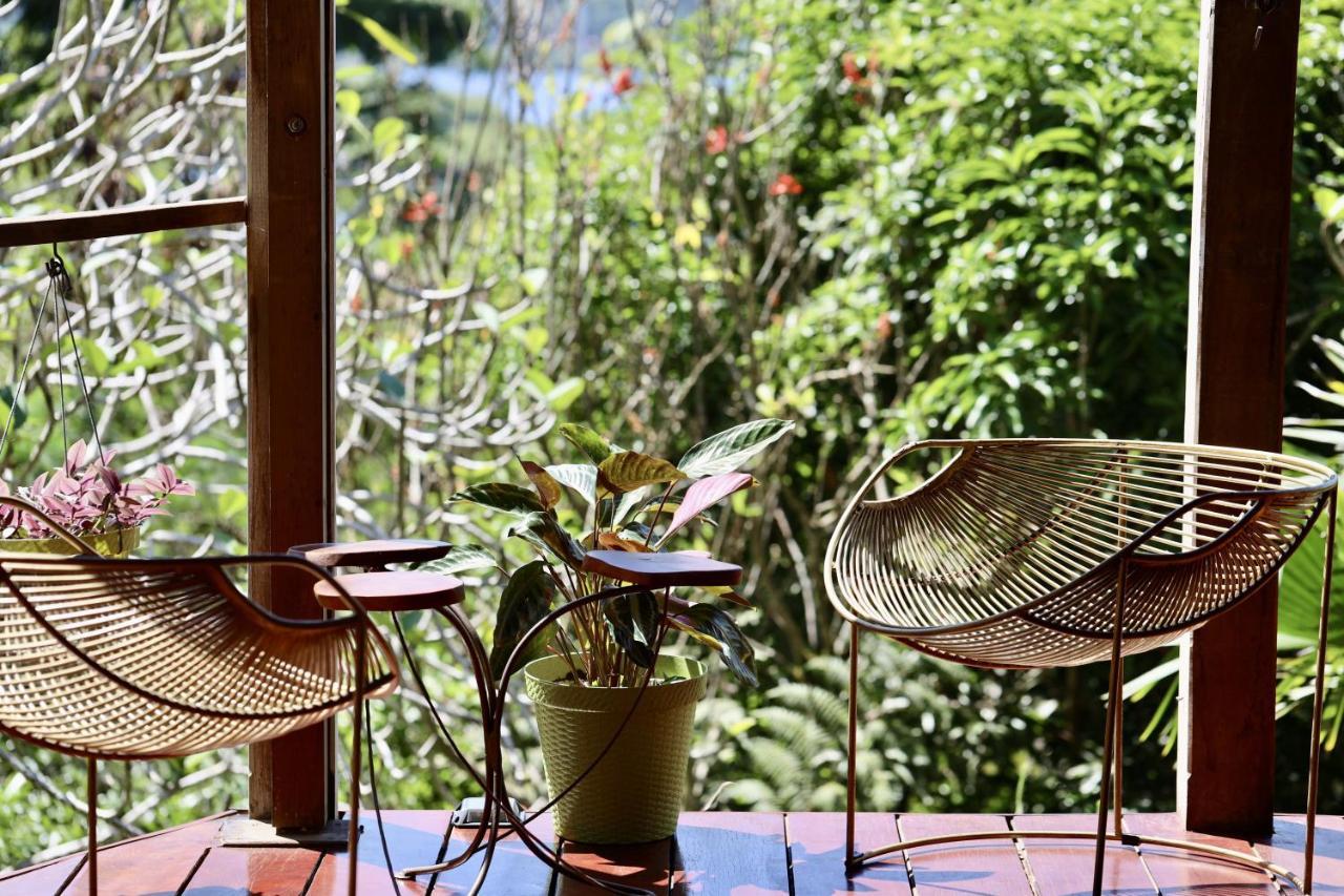 Eden Jungle Lodge Bocas Town Kültér fotó