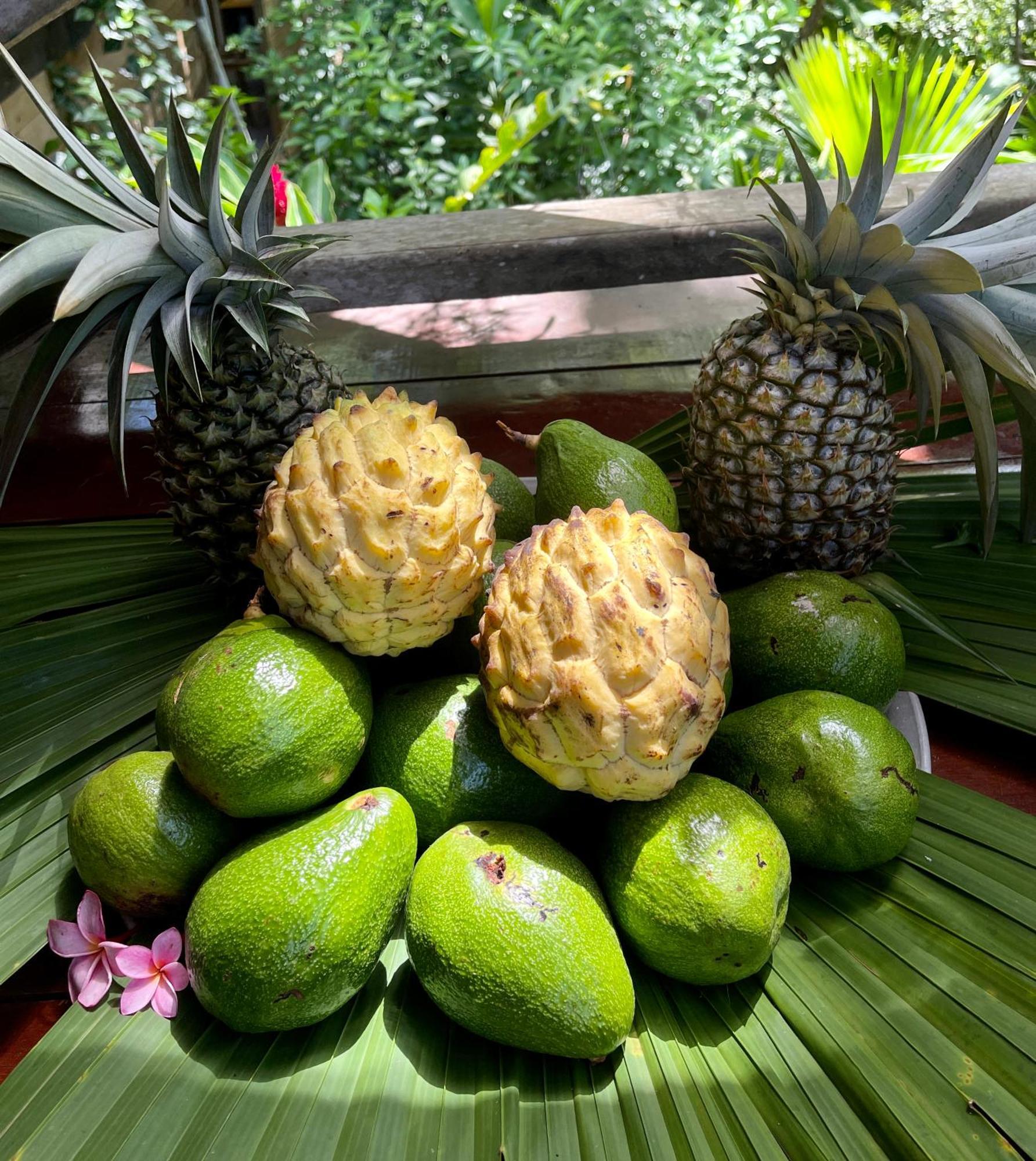 Eden Jungle Lodge Bocas Town Kültér fotó