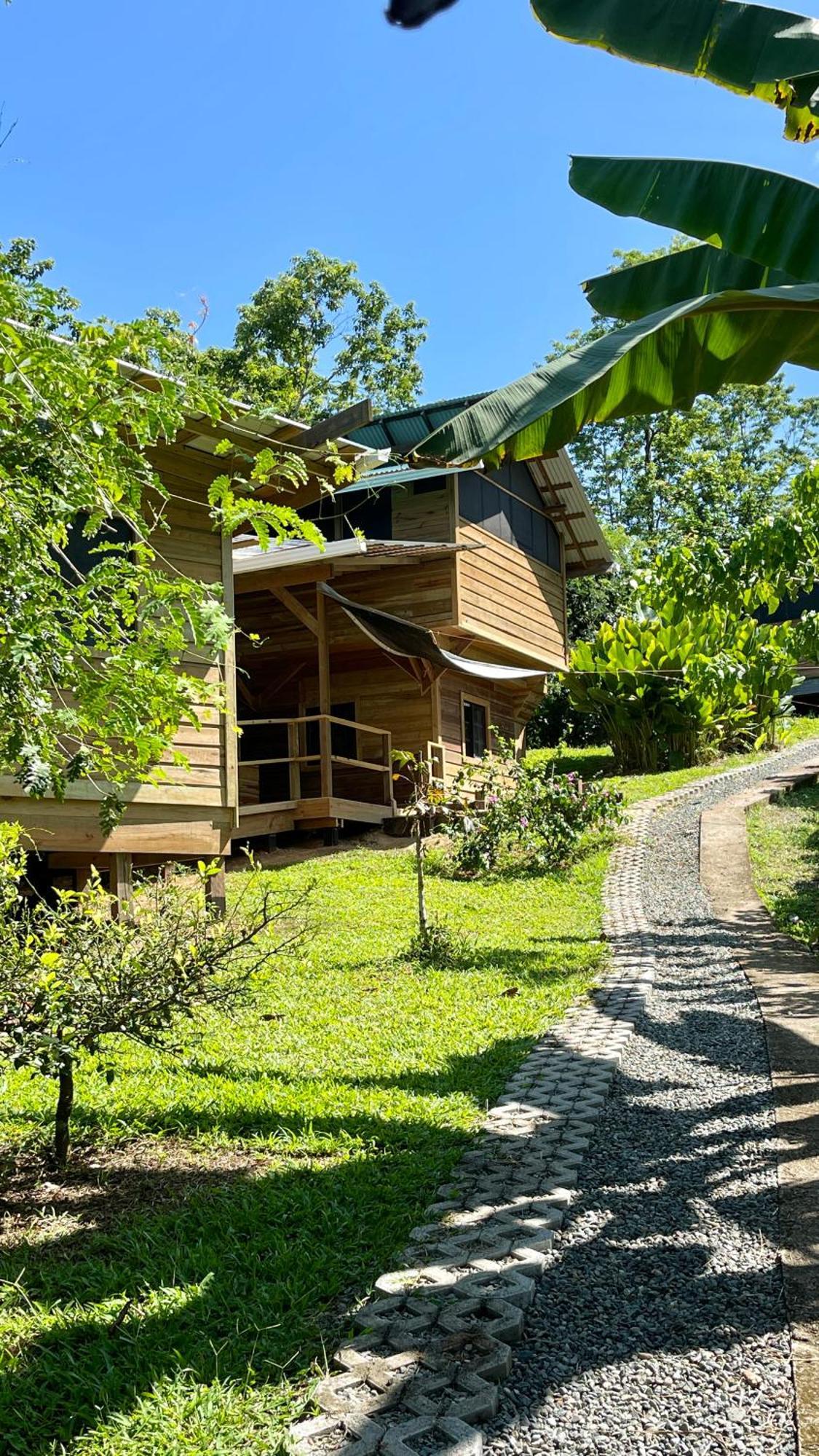 Eden Jungle Lodge Bocas Town Kültér fotó