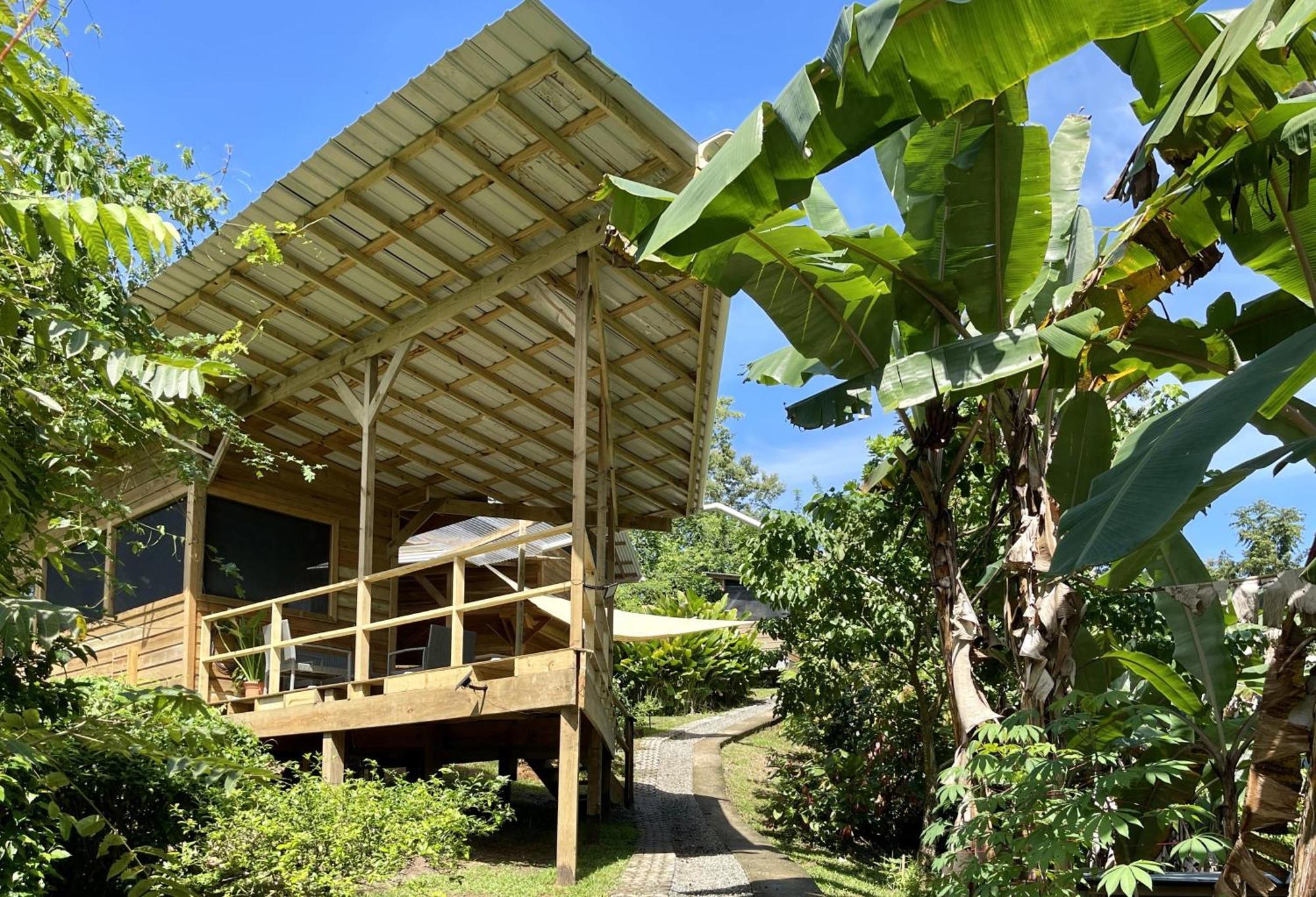 Eden Jungle Lodge Bocas Town Kültér fotó
